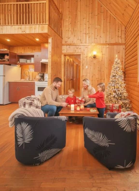 Cerf | Ski-in/out | Appalaches Park | 16 Guests - Image 3